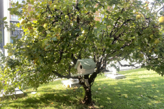 Image_20251022_215025_595 Image_20251022_215025_595