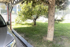 Image_20251022_215026_728 Image_20251022_215026_728