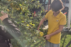 viber_slika_2025-10-22_12-48-38-304 viber_slika_2025-10-22_12-48-38-304