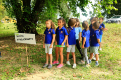 avantura-8 avantura-8