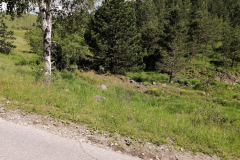 SOS_sesti_dan-12-of-39