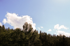 SOS_sesti_dan-15-of-39