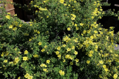 SOS_sesti_dan-17-of-39