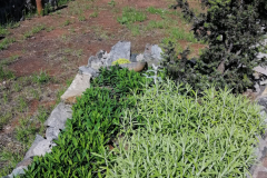 SOS_sesti_dan-18-of-39