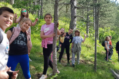 SOS_sesti_dan-32-of-39