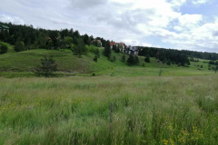 sos_galerija-12-of-75