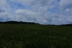 sos_galerija-13-of-75