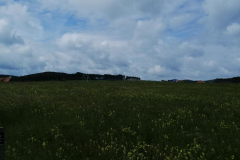 sos_galerija-14-of-75