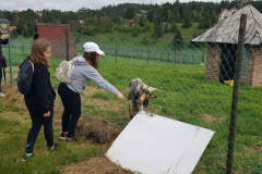 sos_galerija-17-of-75