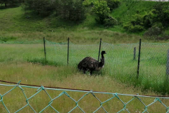 sos_galerija-18-of-75