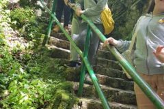 sos_galerija-22-of-89