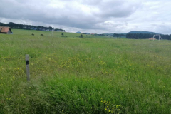 sos_galerija-41-of-75