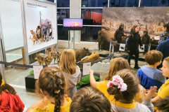 IMG-08614d8a3ebebedec8eab2367549bf13-V