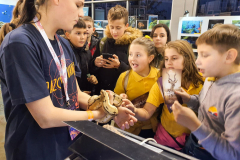 IMG-3dee517e19ba8705e72efb46f5c9315a-V