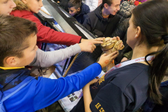 IMG-4c4e86893700c457dffefe5108800981-V