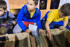 IMG-4c915a0734b26f79e7b43358dbe9202b-V