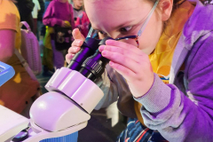 IMG-4dbfc86ba7877fe8466233a40b69c911-V