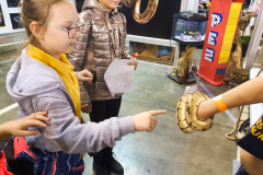 IMG-9a8c242ea25256489e12ed436f8c35c3-V