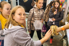 IMG-b7ca4d47cd958f748d3bb7e078419842-V