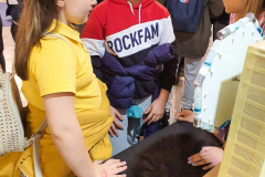 IMG-e88d79bbf683f7500c563c0844f85327-V