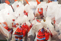 zvecanska-1 zvecanska-1