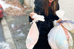 zvecanska-2 zvecanska-2