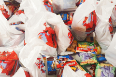 zvecanska-6 zvecanska-6