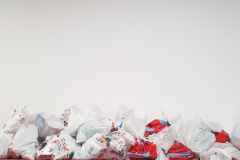 zvecanska-8 zvecanska-8